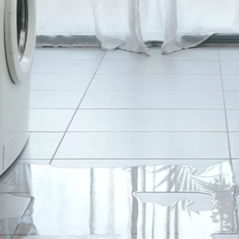 Appliance Leak Cleanup in Derwood, MD